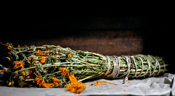 Calendula, The Miracle Herb