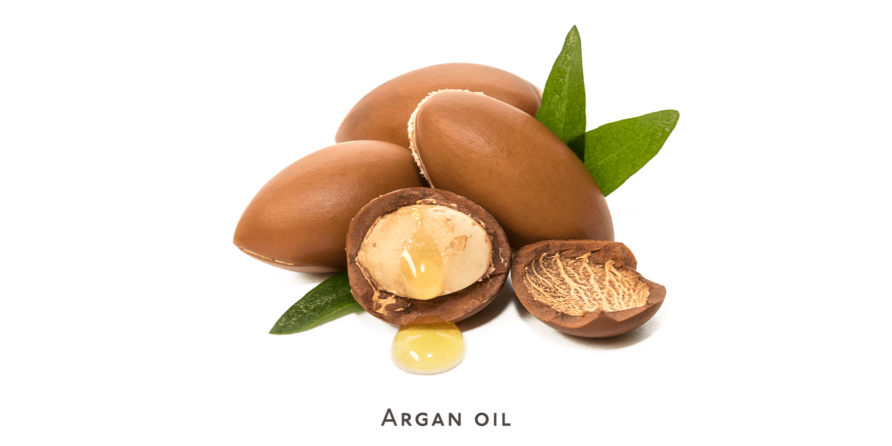 Solid Shampoo Bar For Dry Or Curly Hair Australian Made pH balanced